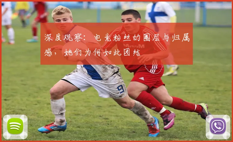 深度观察：电竞粉丝的圈层与归属感，她们为何如此团结