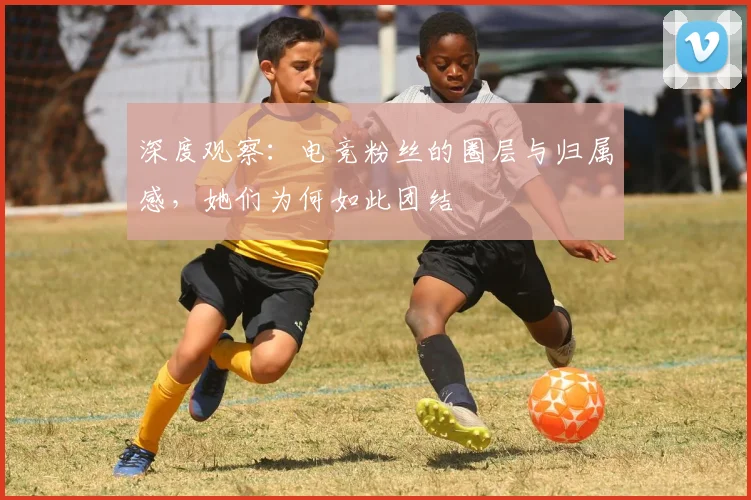 深度观察:电竞粉丝的圈层与归属感,她们为何如此团结