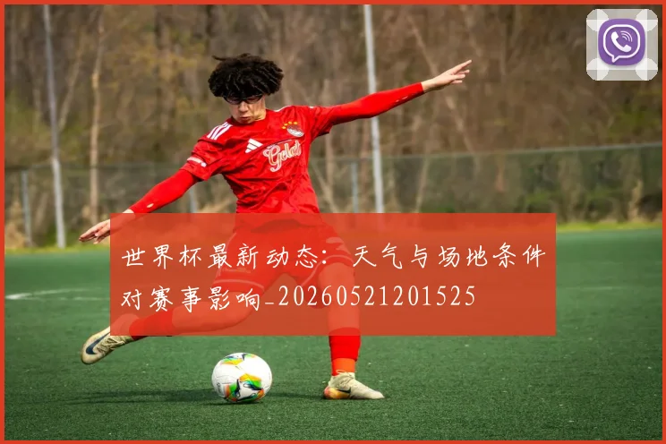 世界杯最新动态:天气与场地条件对赛事影响_20260521201525